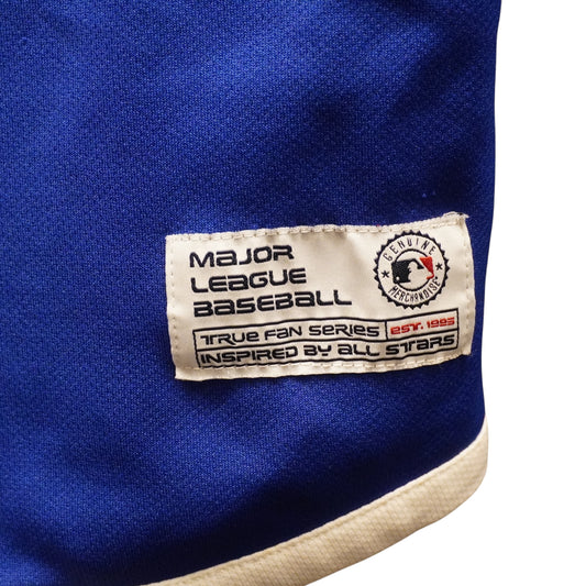 Vintage Chicago Cubs Jersey (XL)