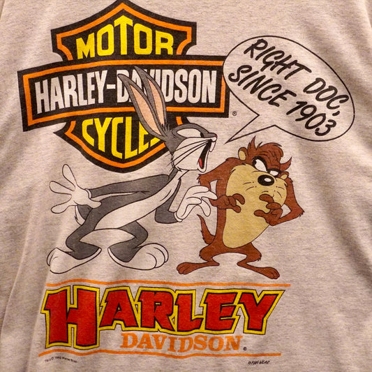 1993 Harley Taz & Bugz (XL)