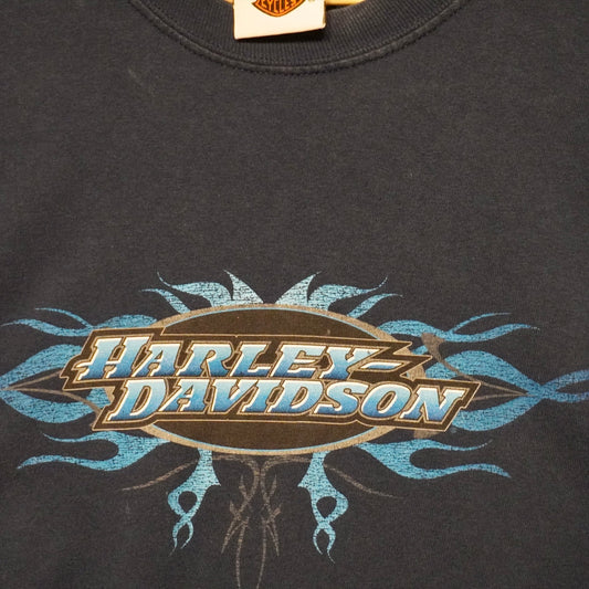 Vintage Harley Tee (Greenville, SC) (XL)