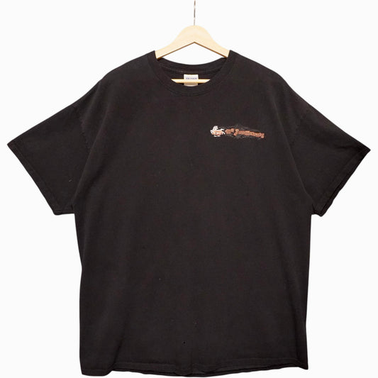 Zeebra Band Tee (XL)