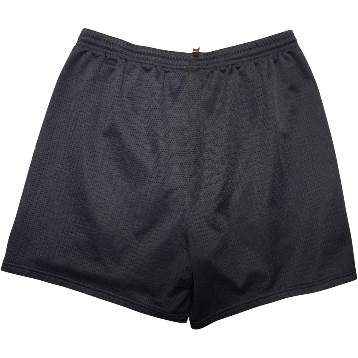 Nike Mesh Shorts (XL)