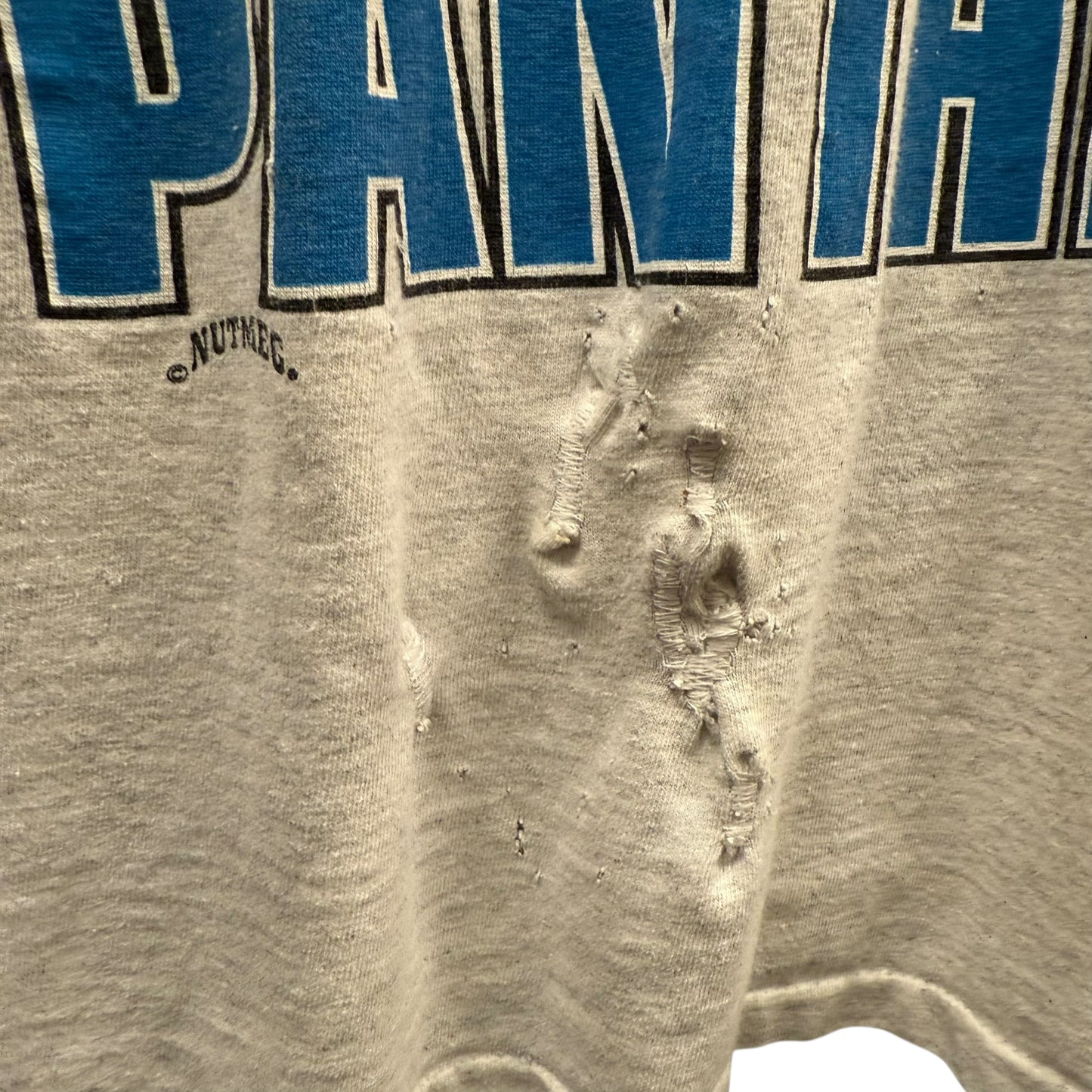 1993 Carolina Panthers Tee (XL)