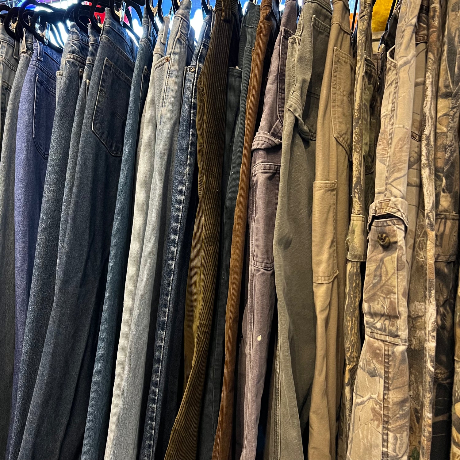 Pants