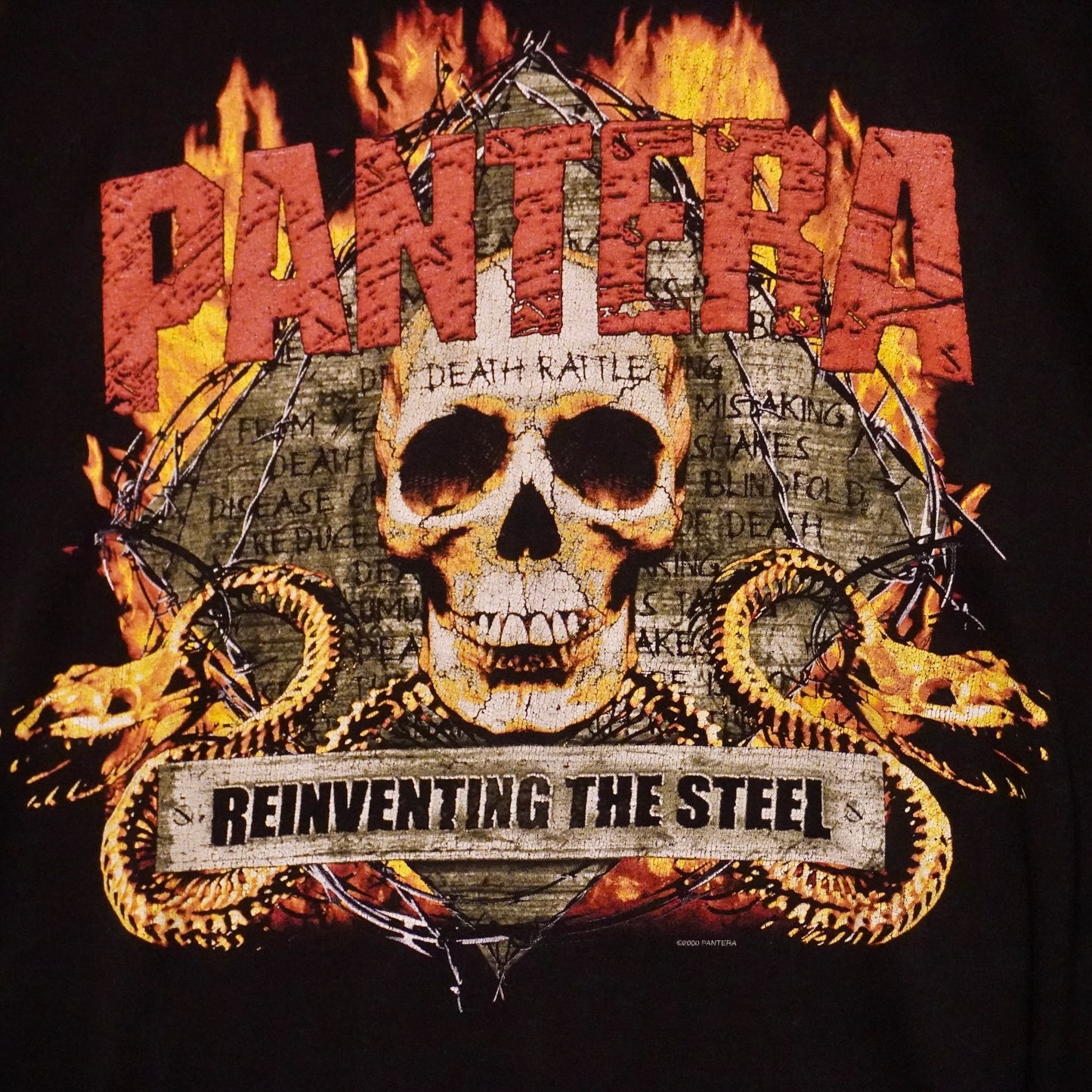 Vintage 2000 Pantera Tee (XL)