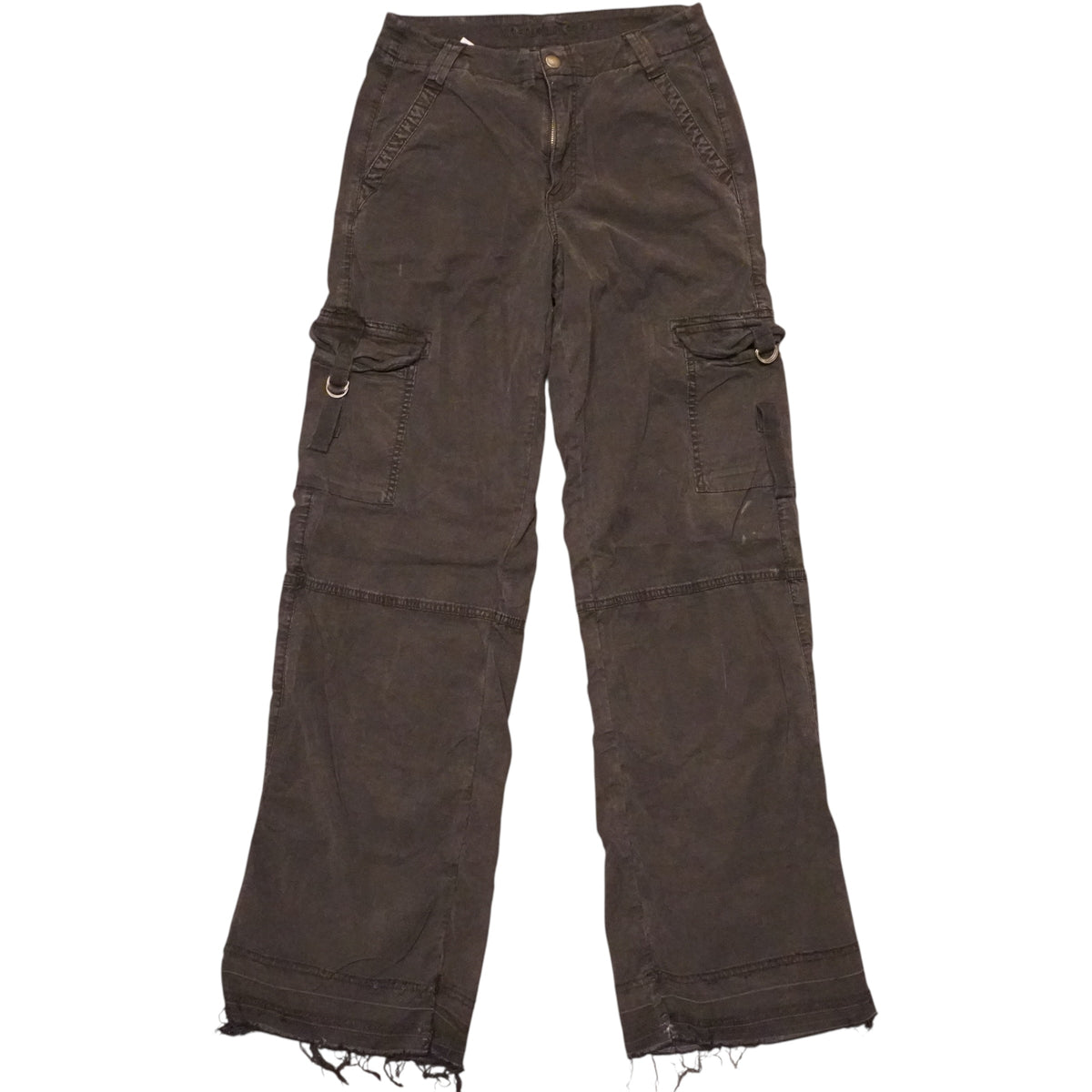 American Eagle Cargo Pants (28x32)