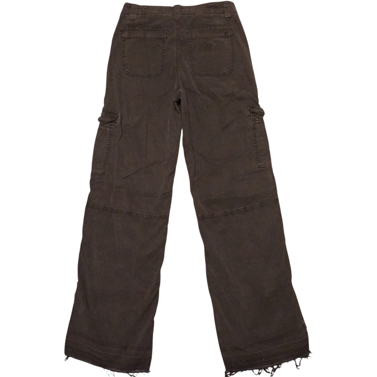 American Eagle Cargo Pants (28x32)