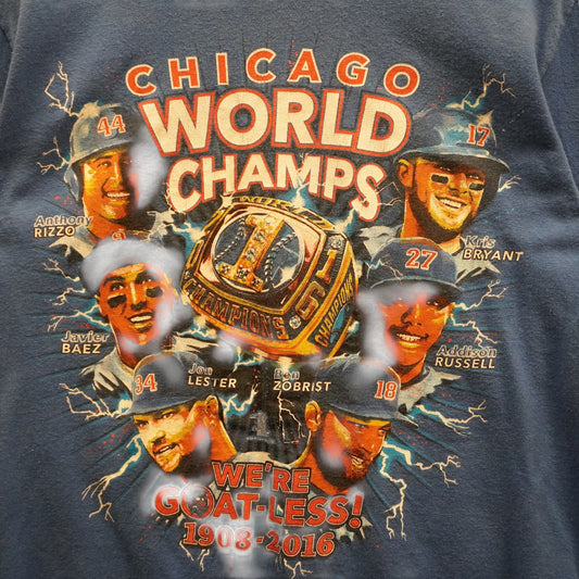 2016 Cubs Tee (M)