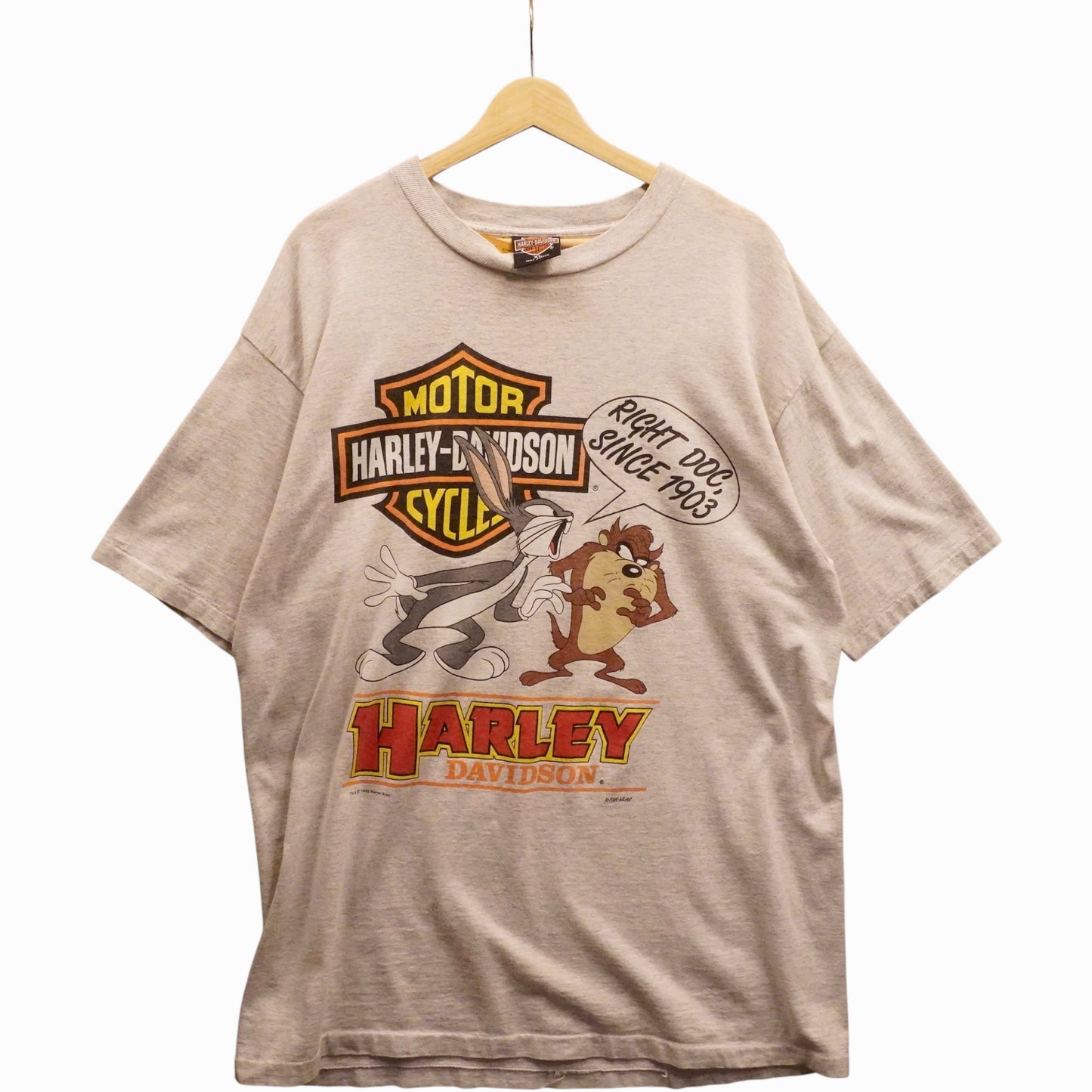 1993 Harley Taz & Bugz (XL)