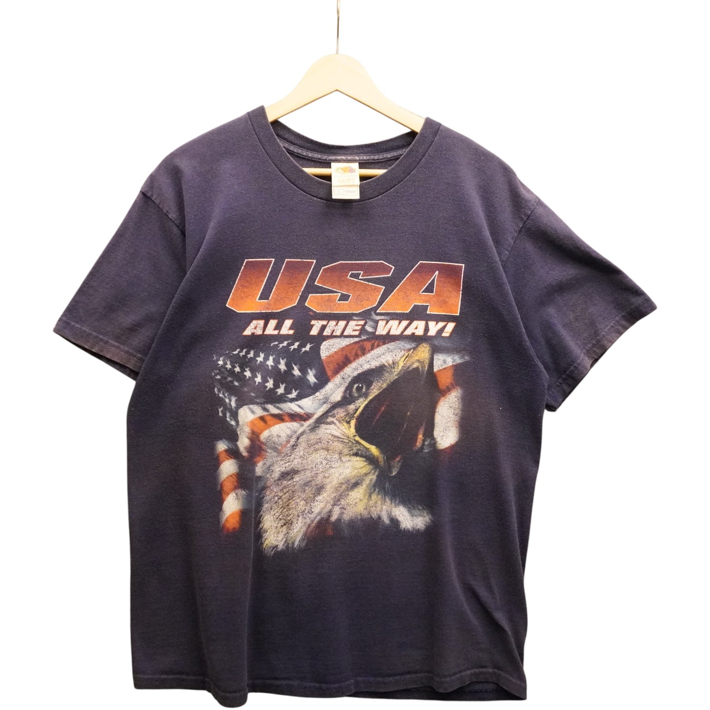 Vintage USA Tee (L)