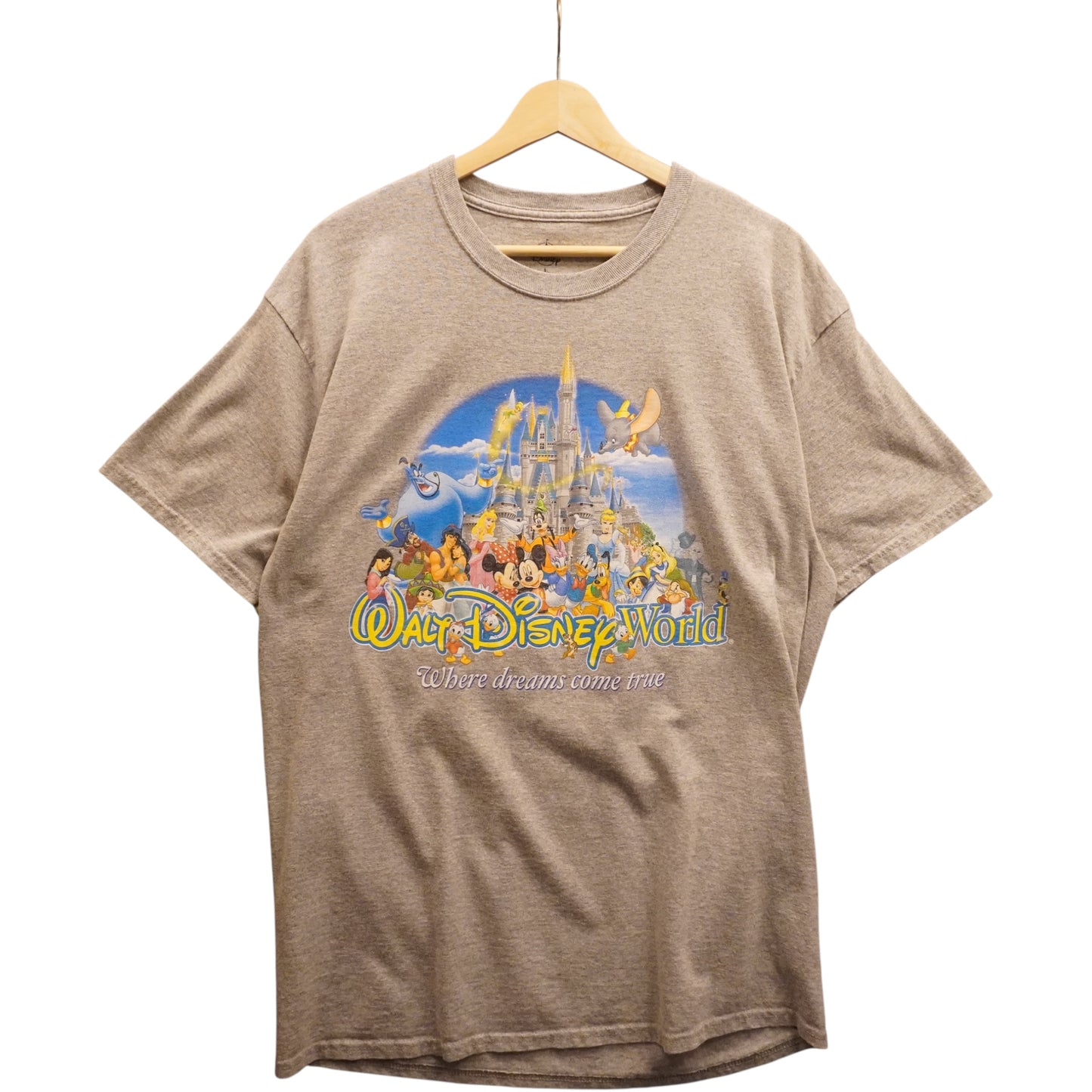 Disney World Tee (L)