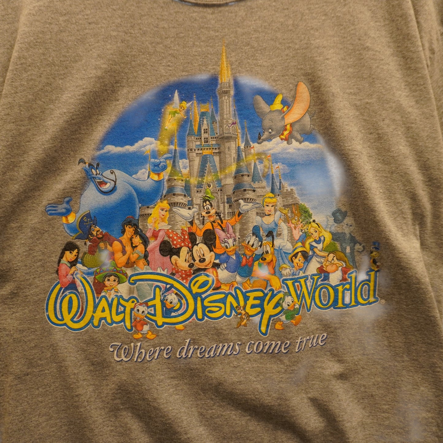 Disney World Tee (L)