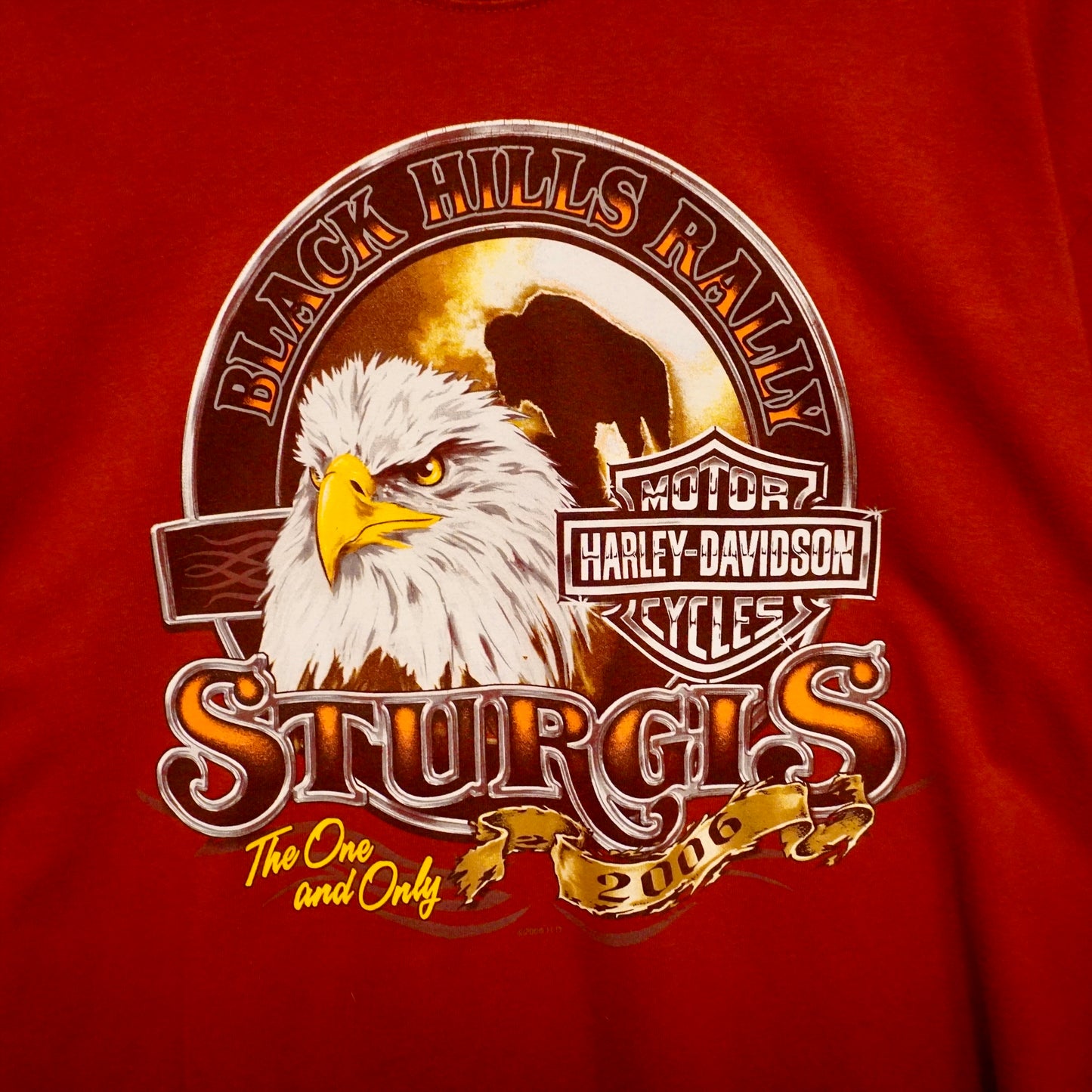 Vintage Sturgis Harley Tee (L)