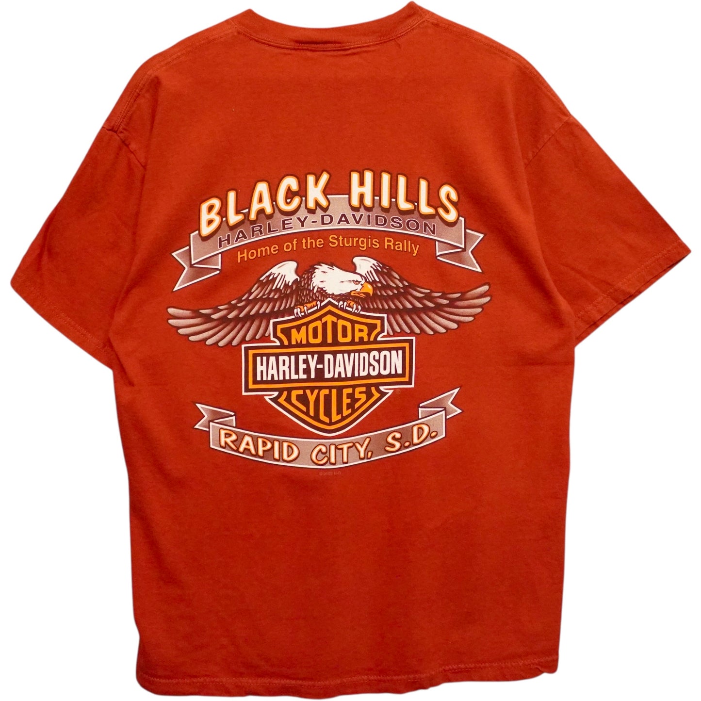 Vintage Sturgis Harley Tee (L)