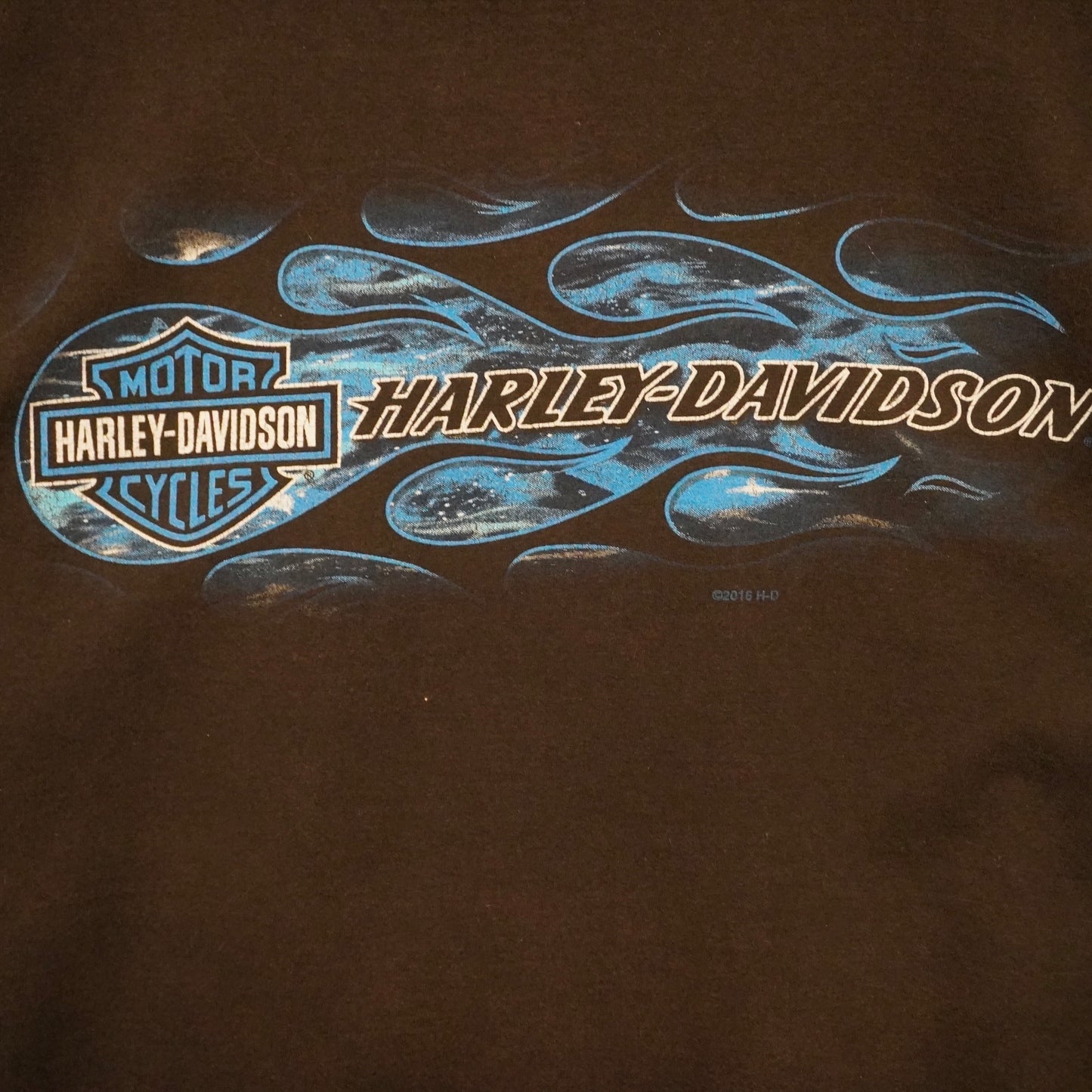 Harley Flames Tee (Rocky Mountain) (L)