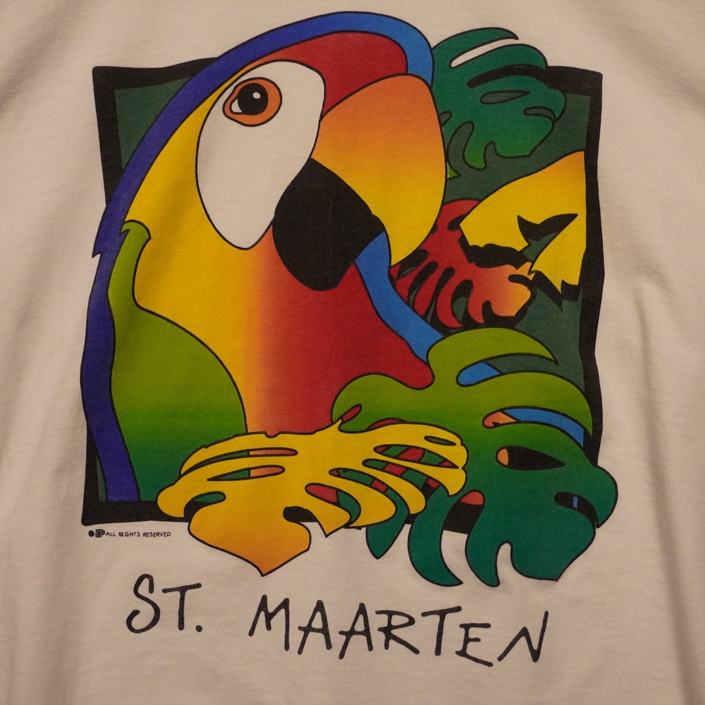 Vintage St. Marten Tee (L)
