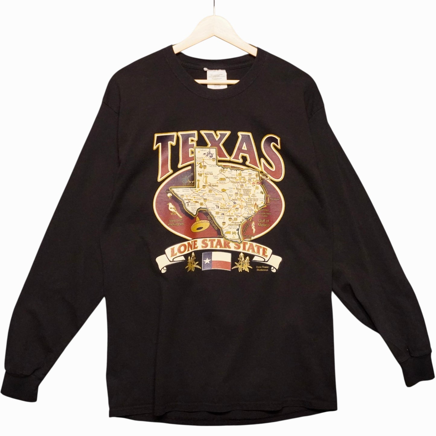 Vintage Texas Longsleeve (L)