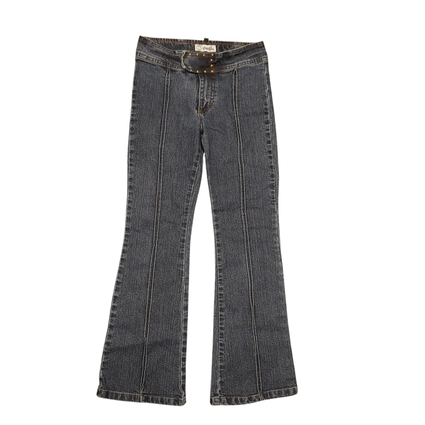 Y2K Gasoline Flared Jeans (W24xL26)