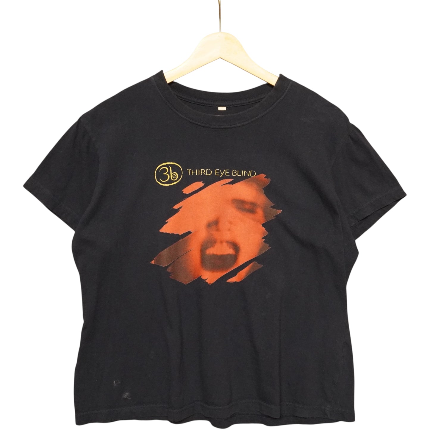 Third Eye Blind Tee (M)