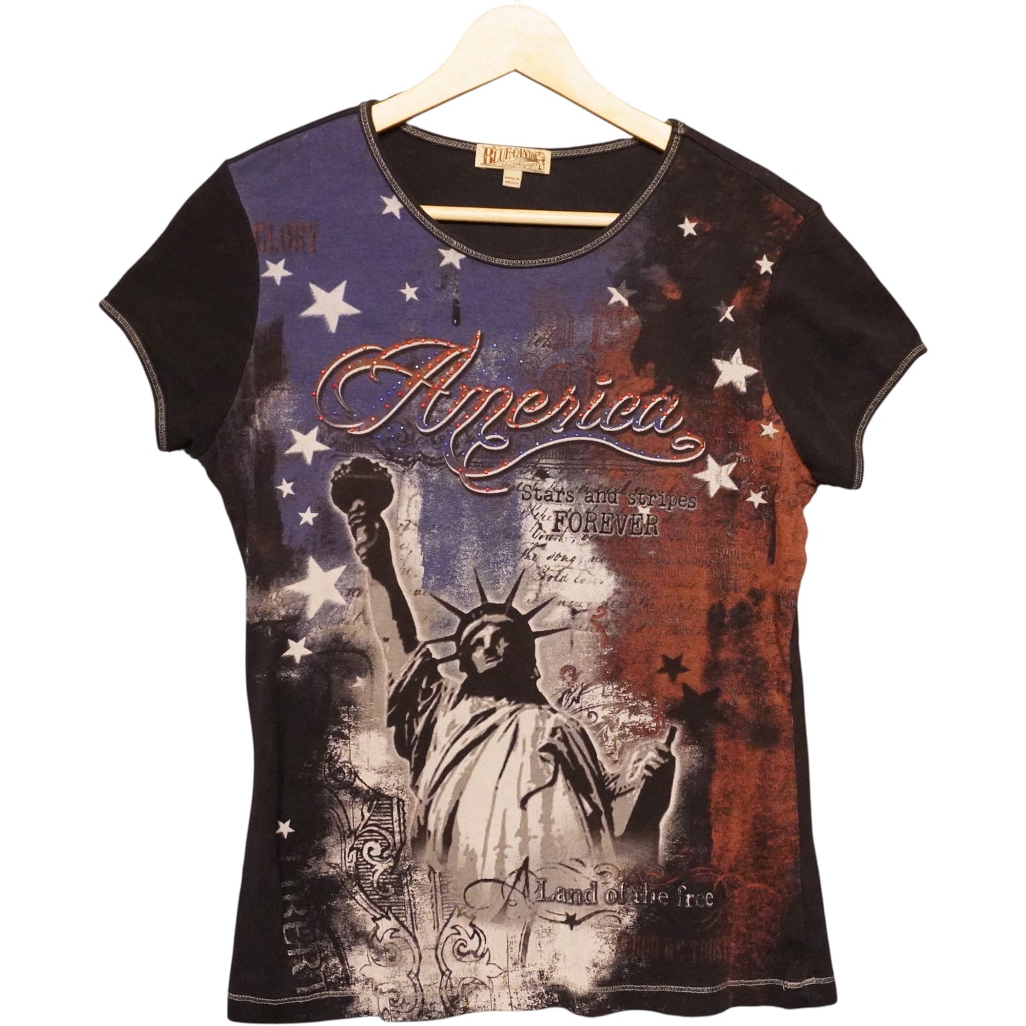 Y2K America Tee (L)
