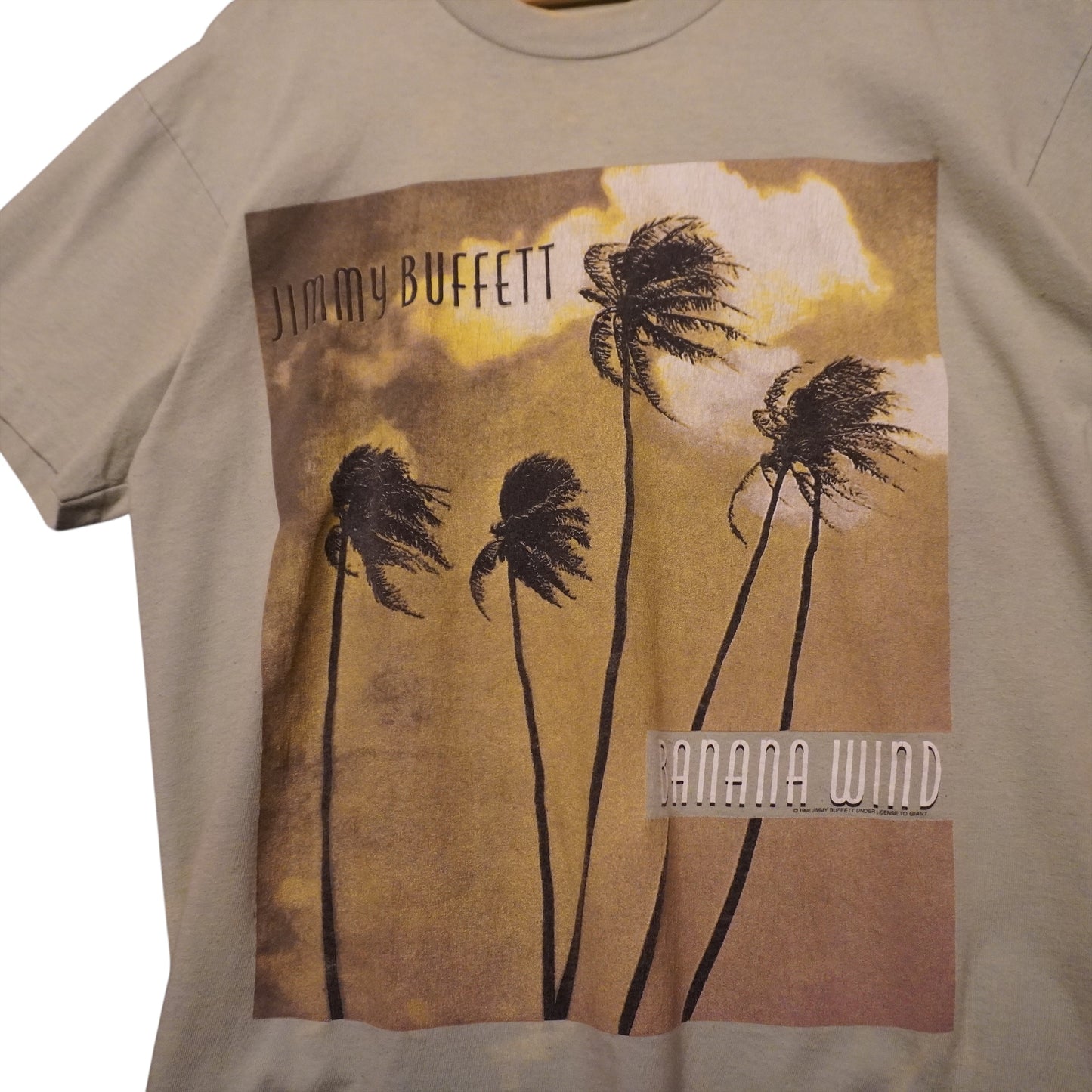1996 Jimmy Buffett Tour Tee (L)