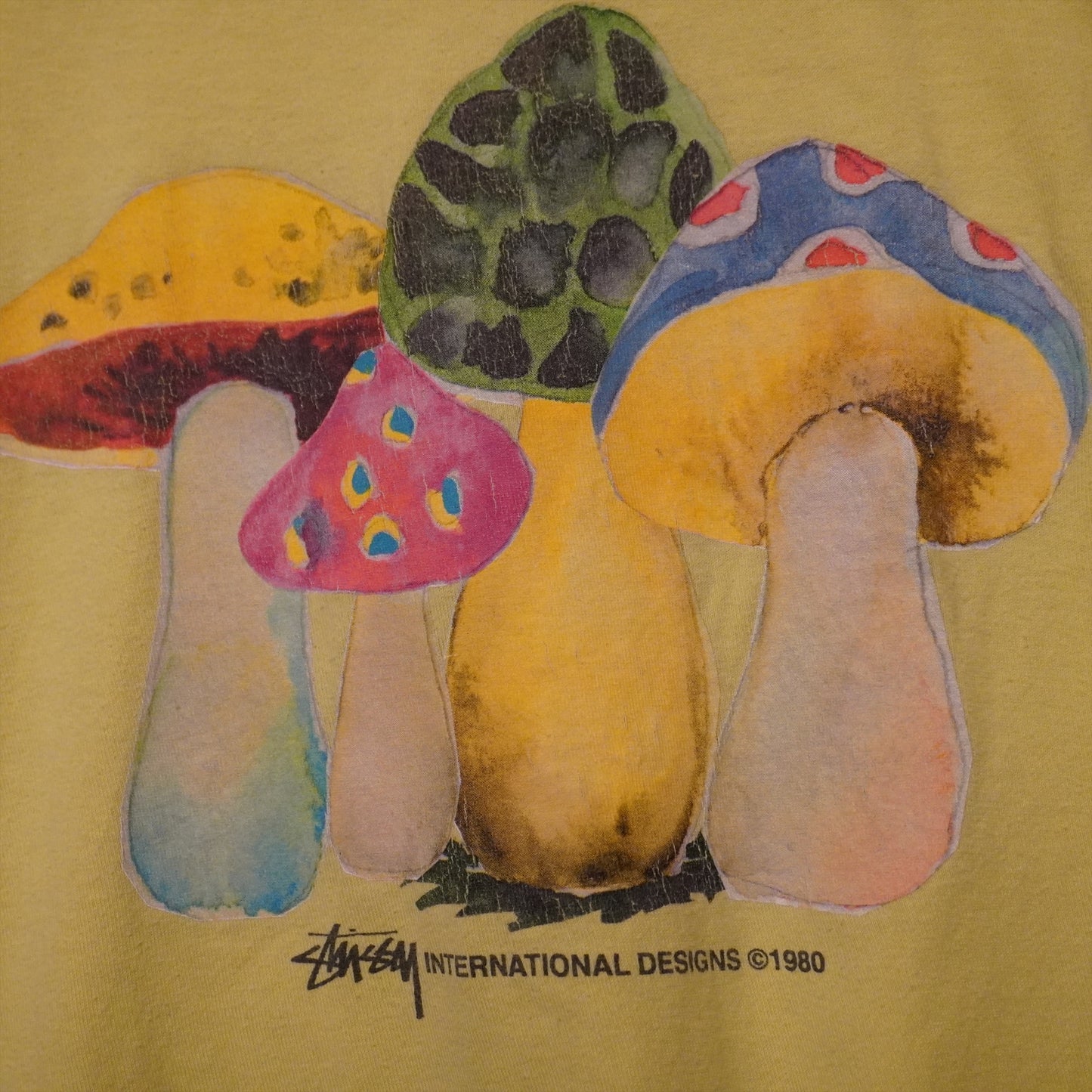Stussy Mushroom Tee (M)