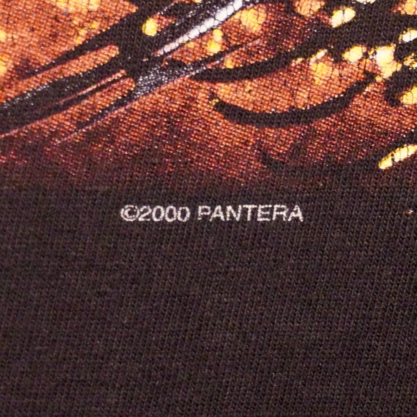 Vintage 2000 Pantera Tee (XL)