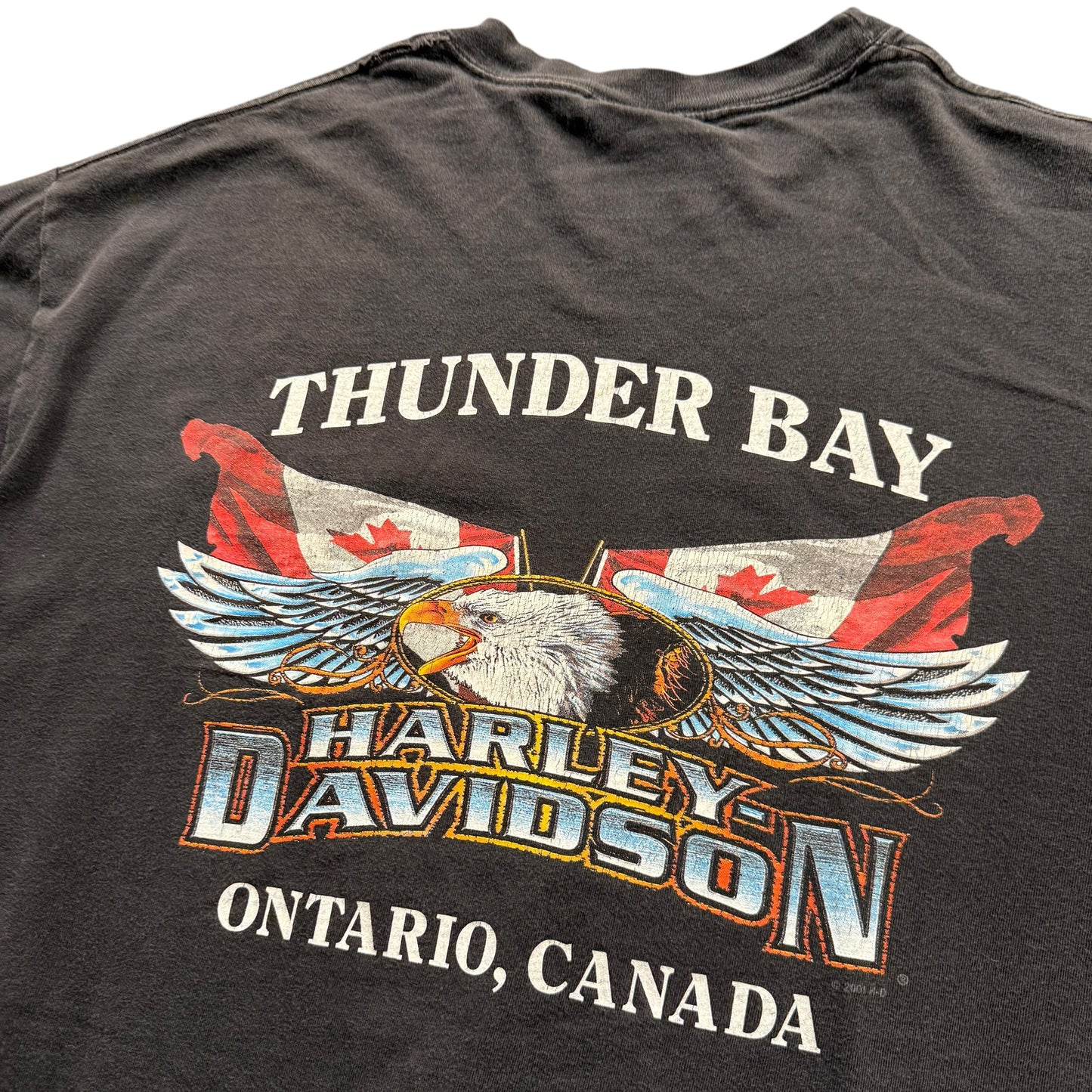 (L/XL) Vintage Harley T-Shirt