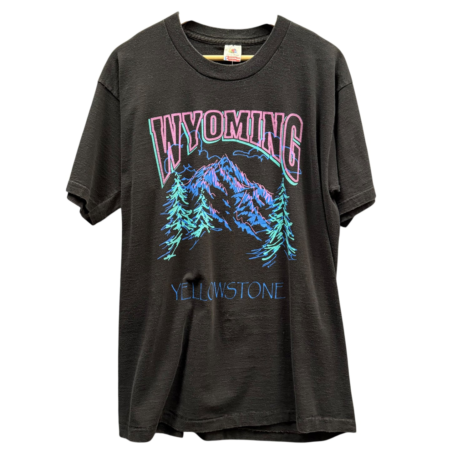 90s Yellowstone Tee (L)