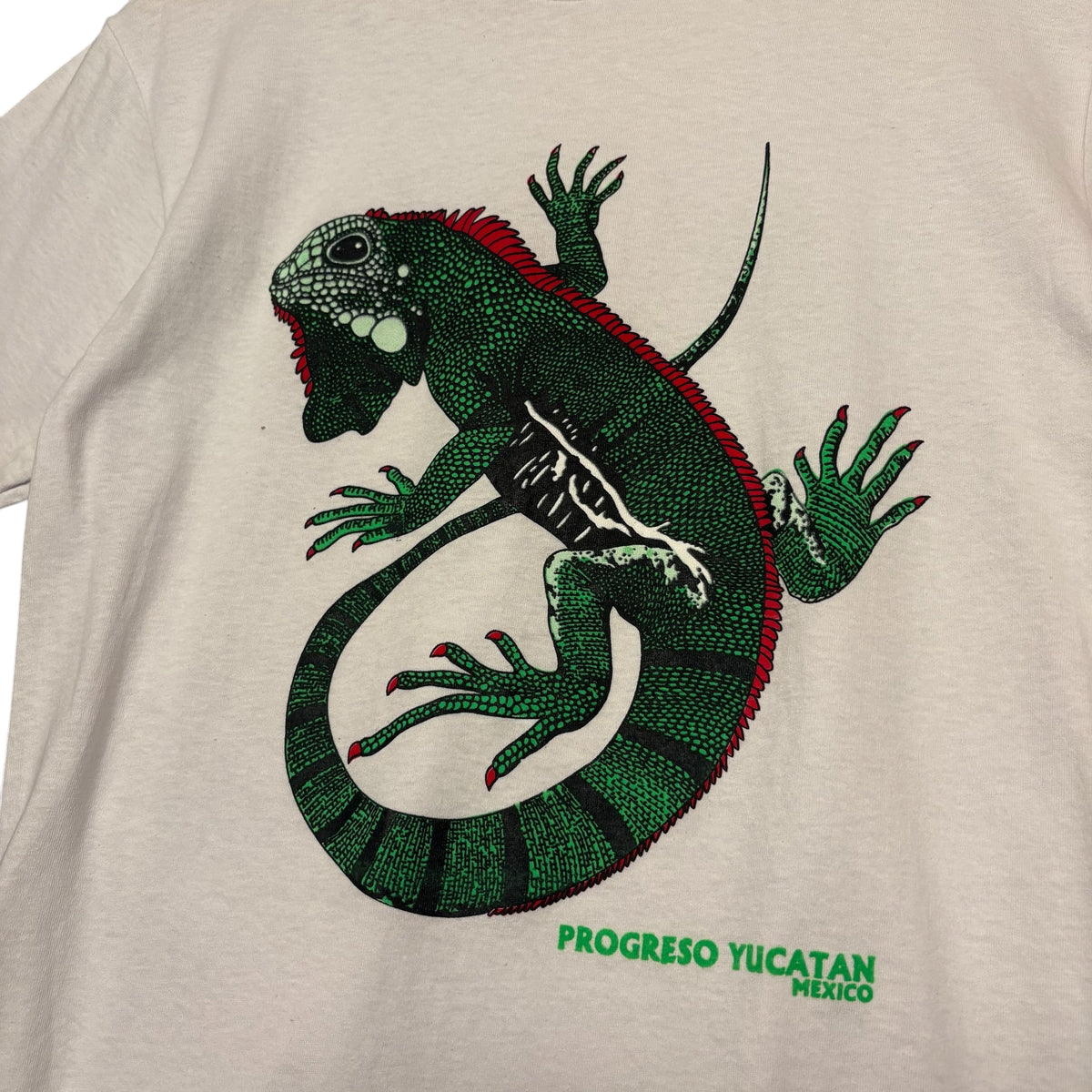 Mexico Iguana Tee (L)