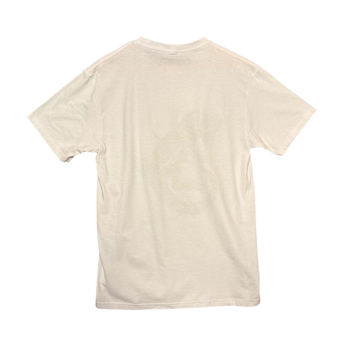 Mexico Iguana Tee (L)