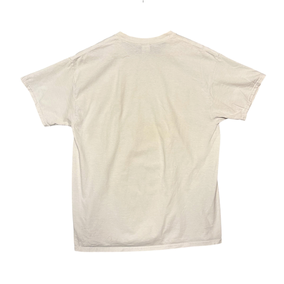 Thrasher Skate Tee (L)