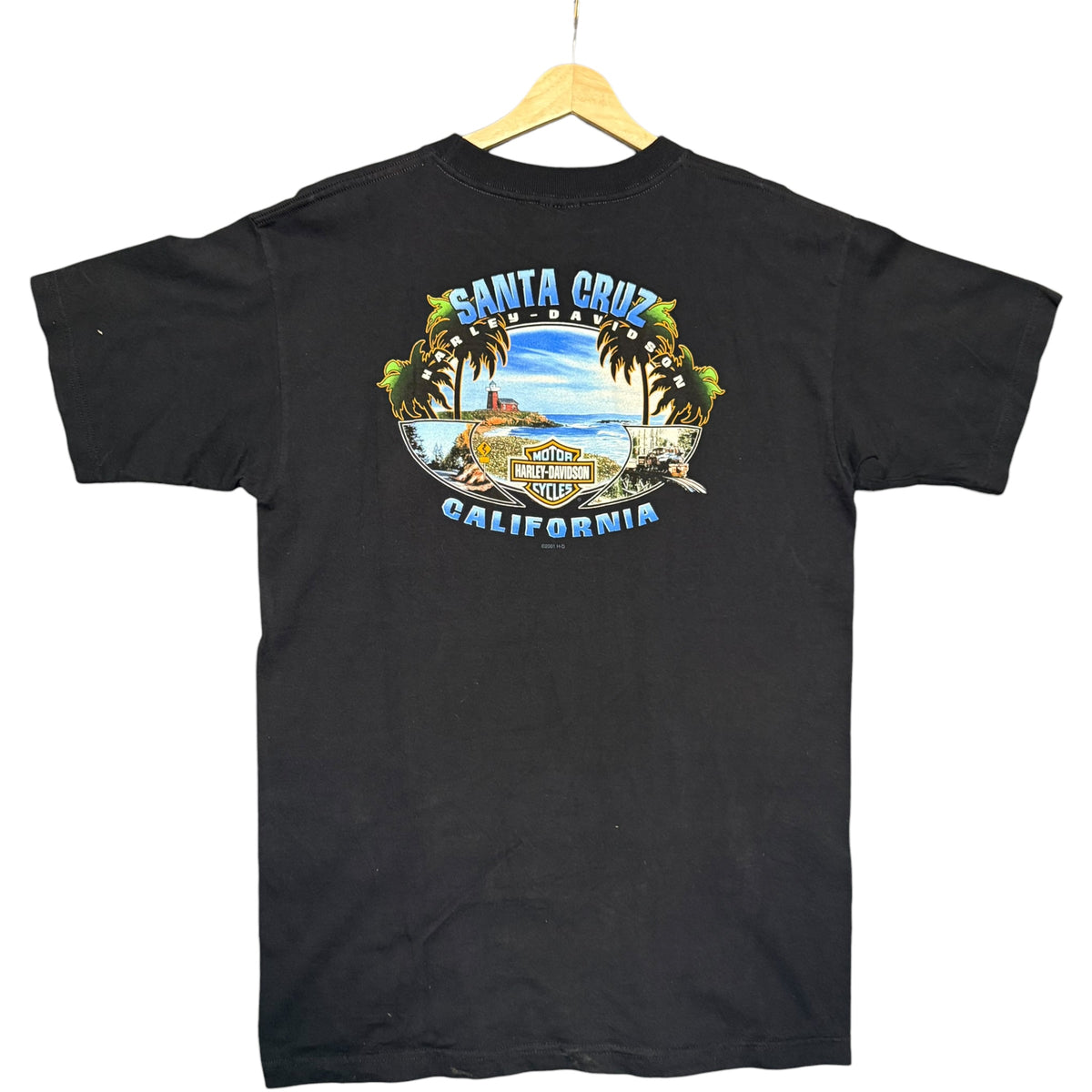 VTG Harley Chrome Santa Cruz (L)