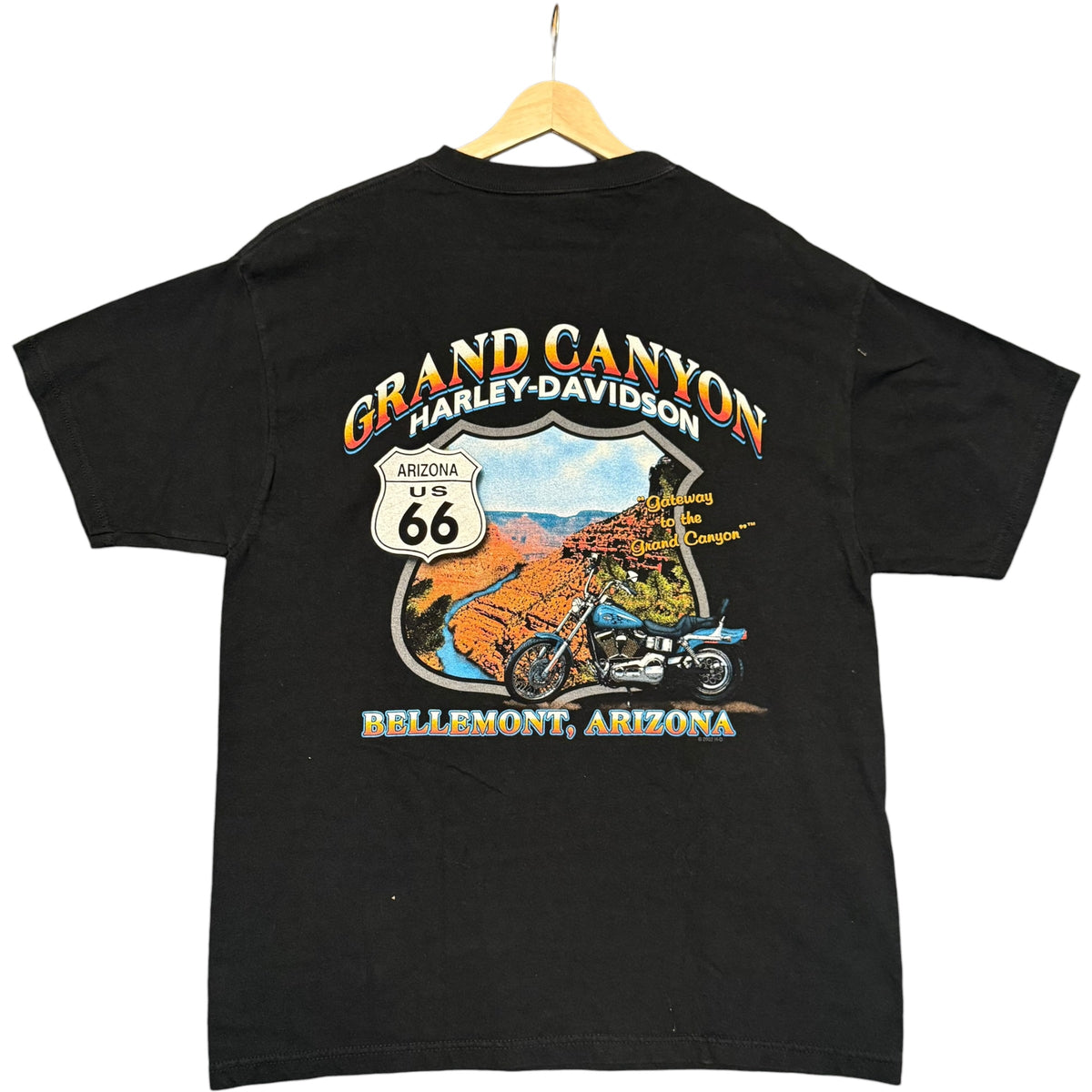 VTG Harley Grand Canyon Tee (L)