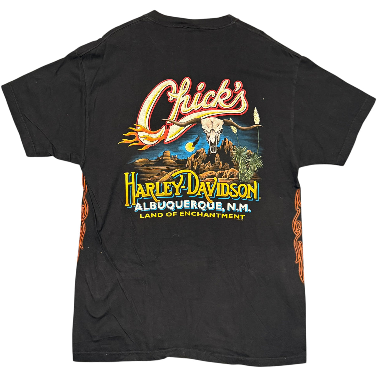 1998 Harley Chicks Tee (L)