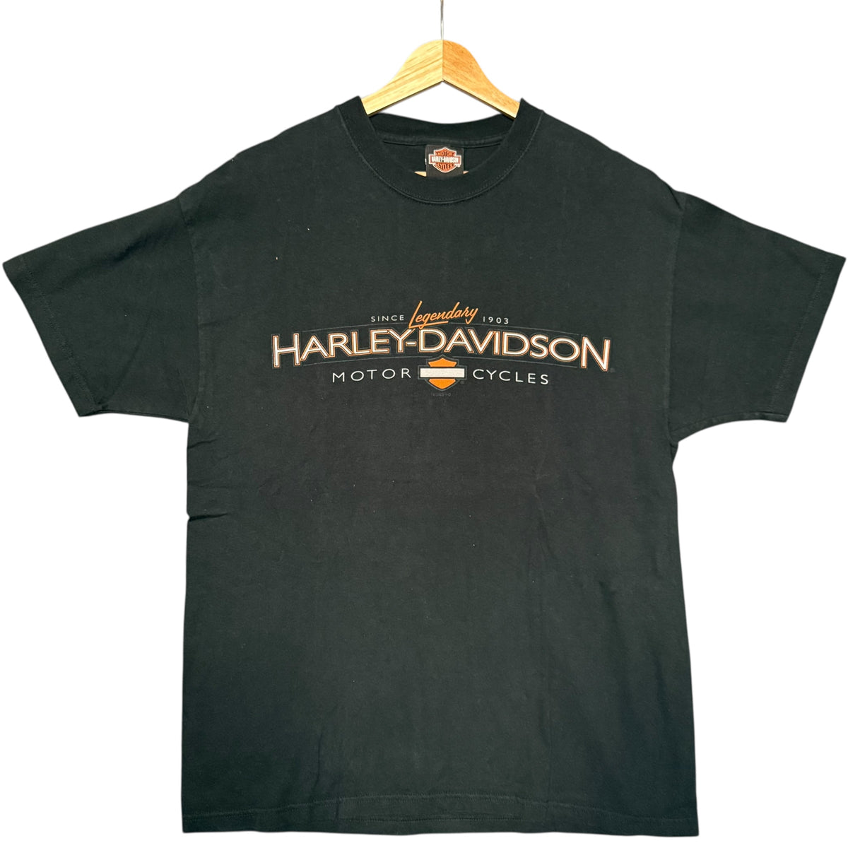 VTG Harley Palm Springs Tee (L)