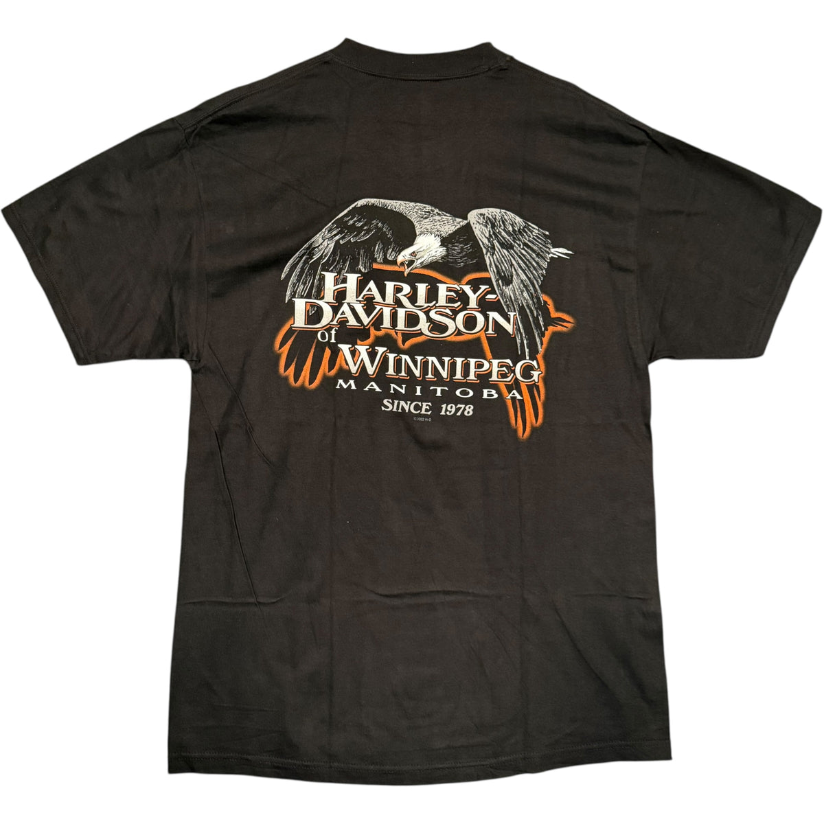 2002 Harley Winnipeg Tee (L)